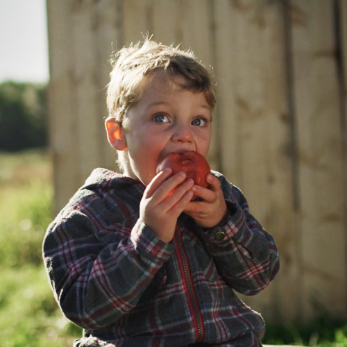 habaneros maraichage thumbnail thibault guichard